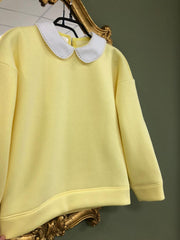 Sweatshirt With A Collar