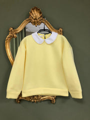 Sweatshirt With A Collar