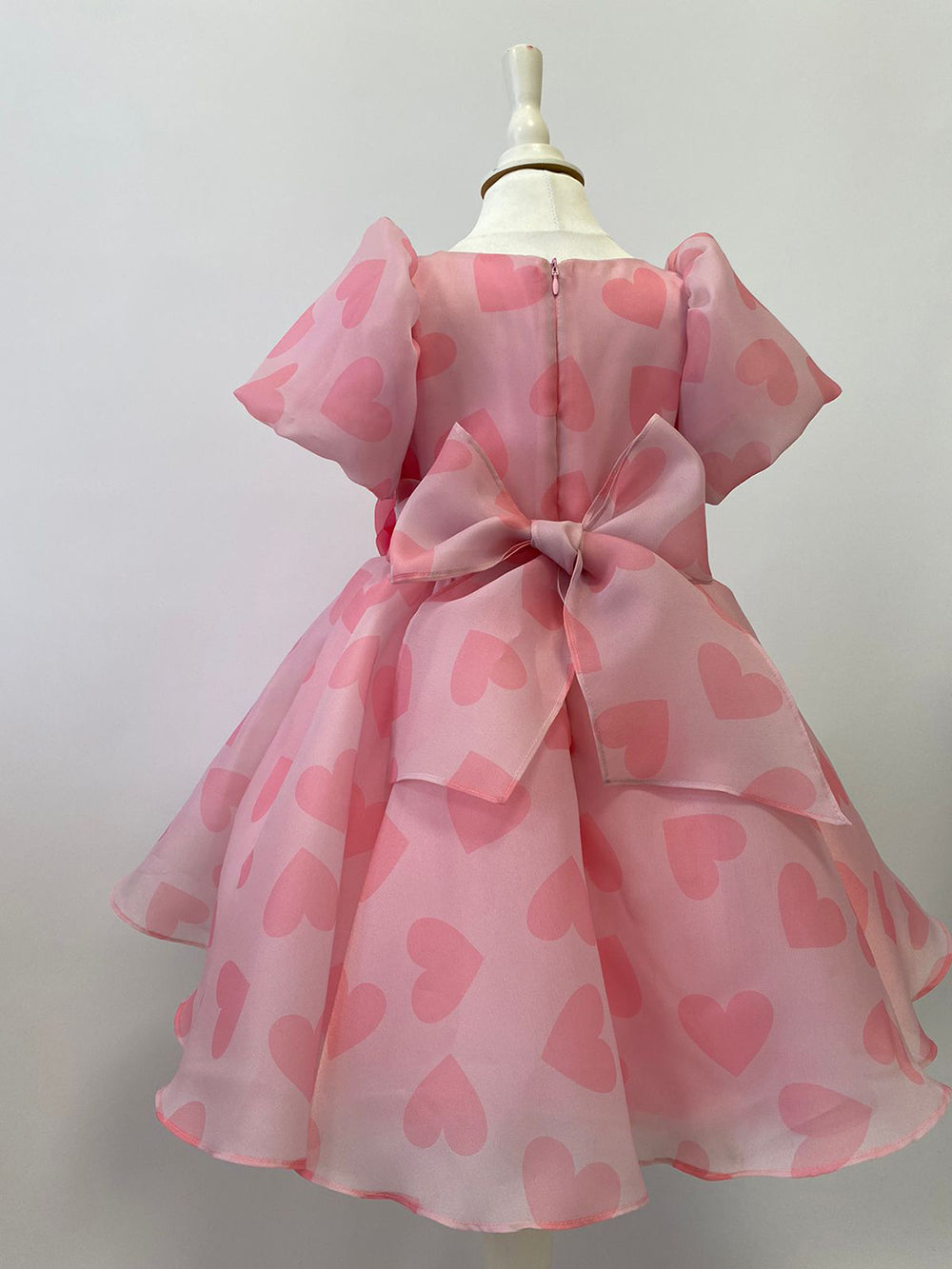 Organza Holiday Dress With Removable Flower