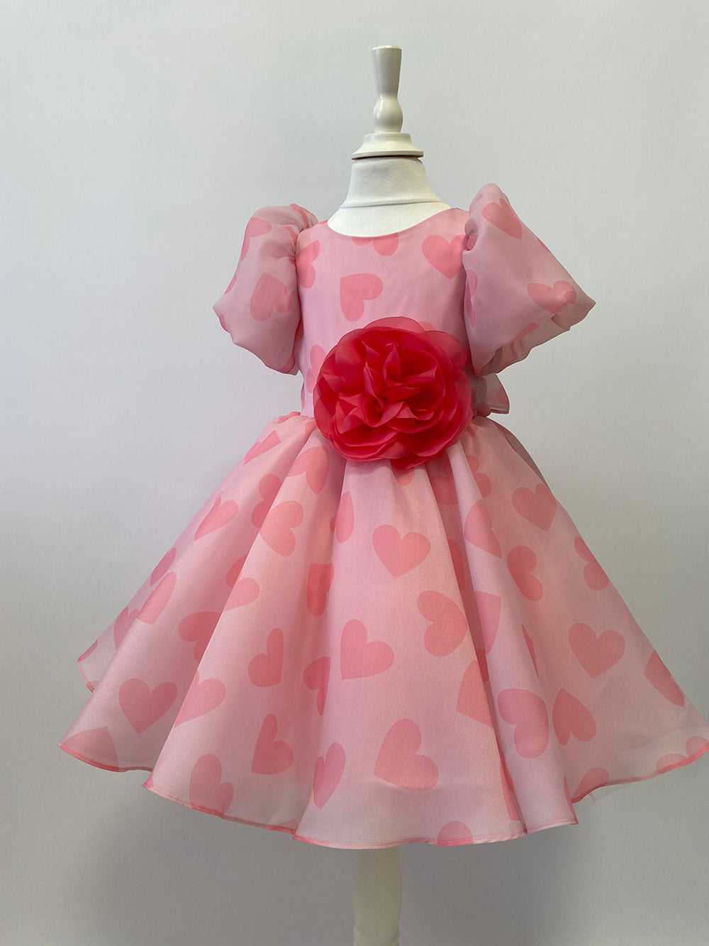 Organza Holiday Dress With Removable Flower