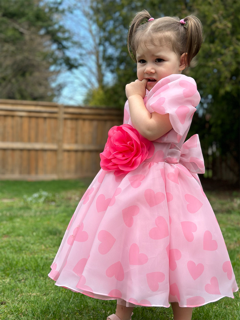 Organza Holiday Dress With Removable Flower