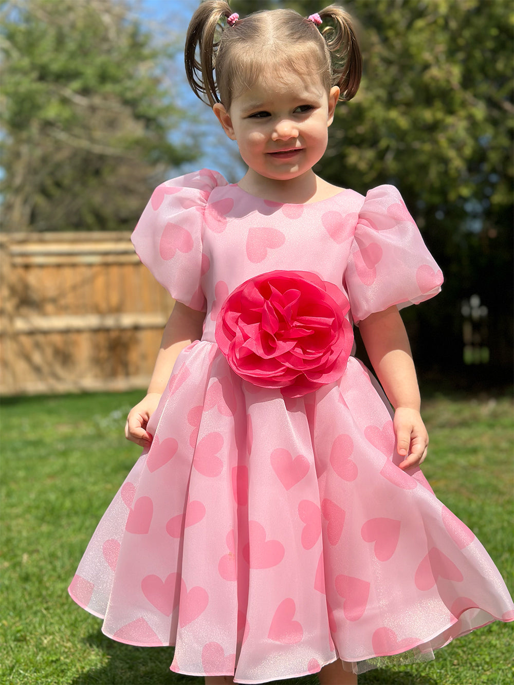 Organza Holiday Dress With Removable Flower