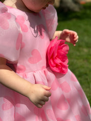 Organza Holiday Dress With Removable Flower