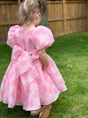 Organza Holiday Dress With Removable Flower