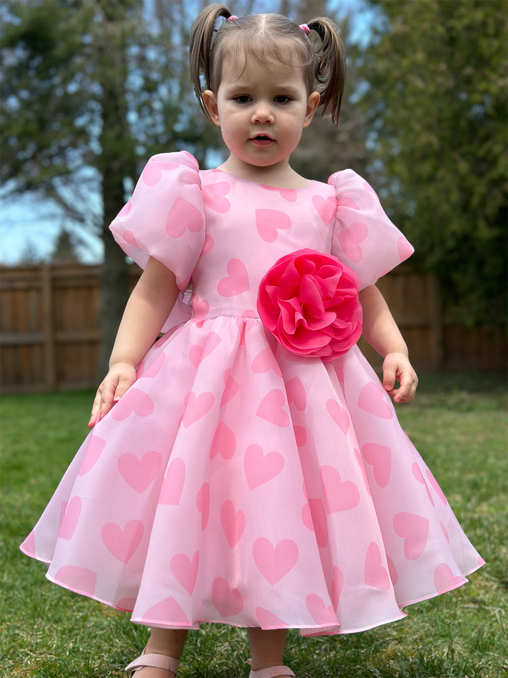 Organza Holiday Dress With Removable Flower