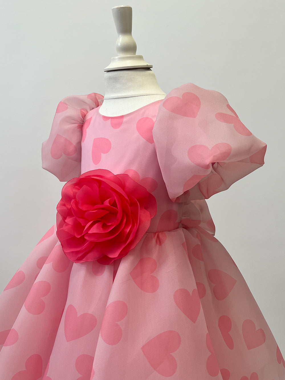 Organza Holiday Dress With Removable Flower