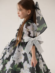 Organza Festive Dress