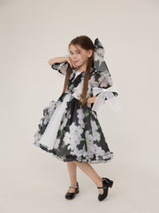 Organza Festive Dress