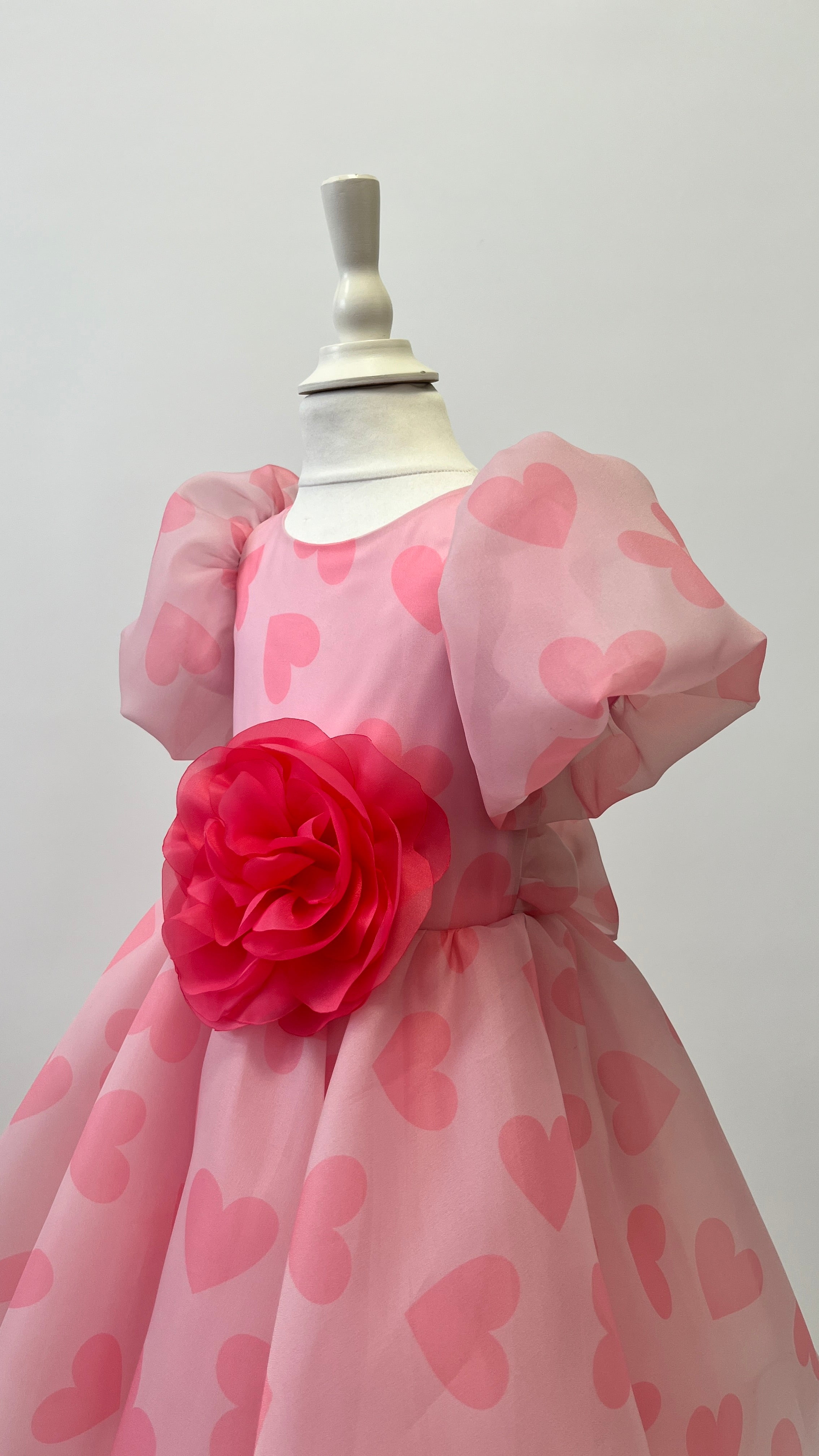 Organza Holiday Dress With Removable Flower