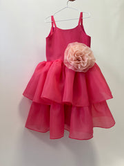 Organza Festive Dress With Removable Flower