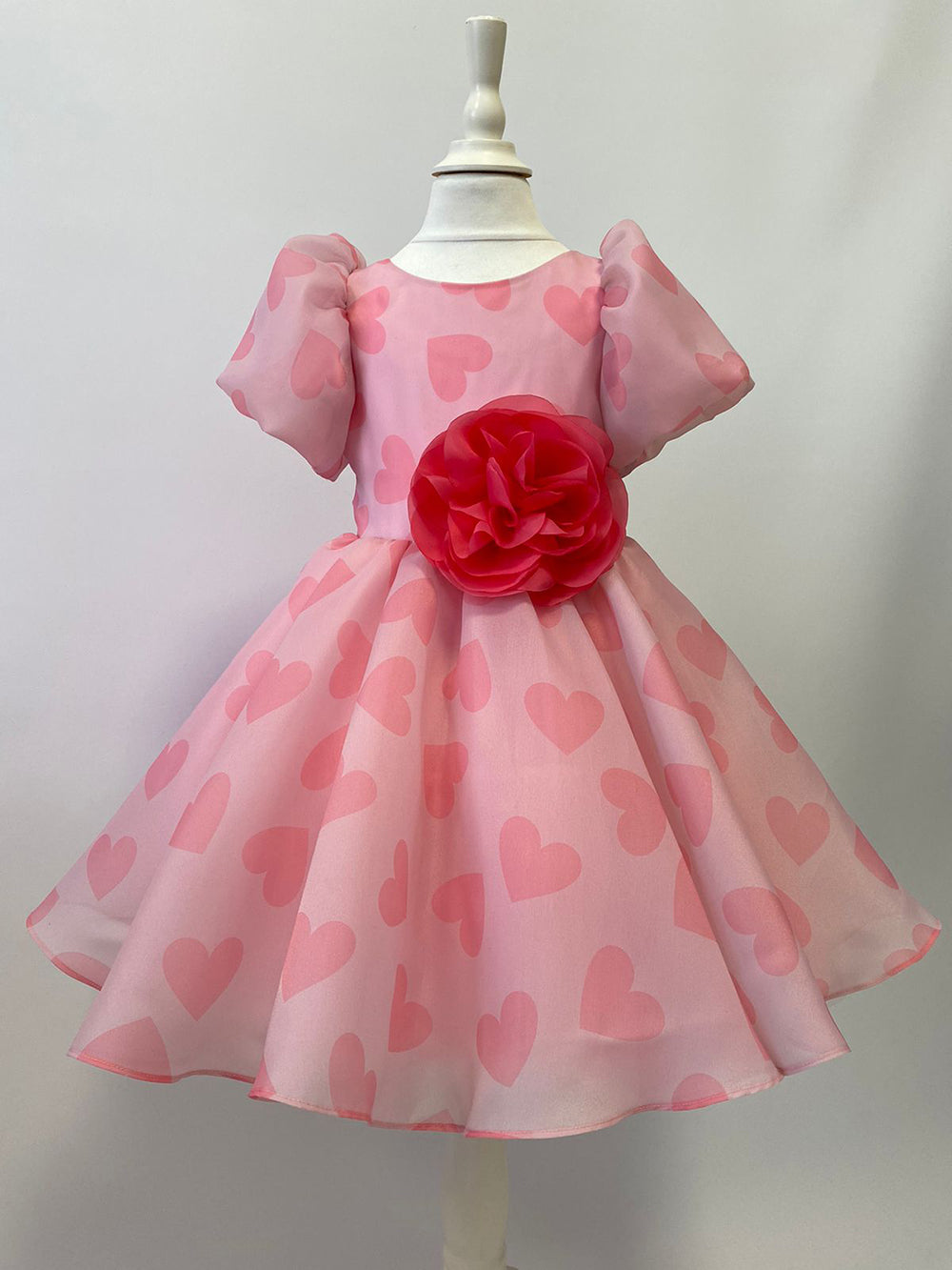 Organza Holiday Dress With Removable Flower